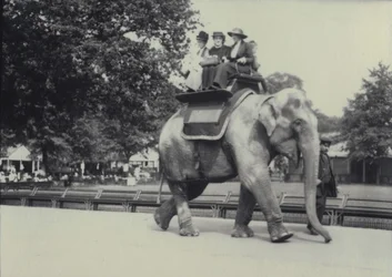 Trois dames transportées sur un éléphant asiatique, dirigé par un gardien, au zoo de Londres, mai 1914